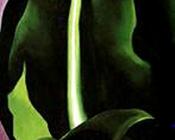 乔治亚 奥基夫 : Dark Corn